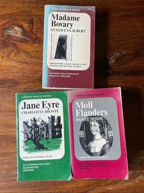 3 Norton Critical Edition Books: Jane Eyre, Moll Flanders, Madame Bovary